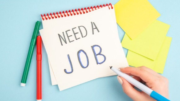 MOMAK U POTRAZI ZA BILO KAKVIM POSLOM