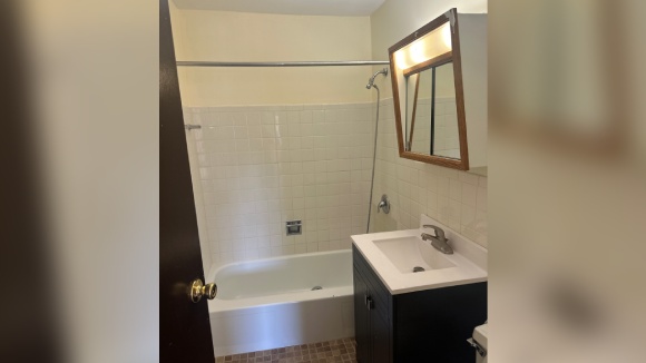 IZDAJE SE ODMAH USELJIV JEDNOSOBAN STAN U PALOS HILLS-U, IL