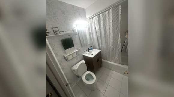 IZDAJEM DVOSOBAN STAN U LYONS-U, IL