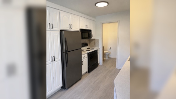 TOWNHOUSE FOR RENT IN WILLOW SPRINGS, IL